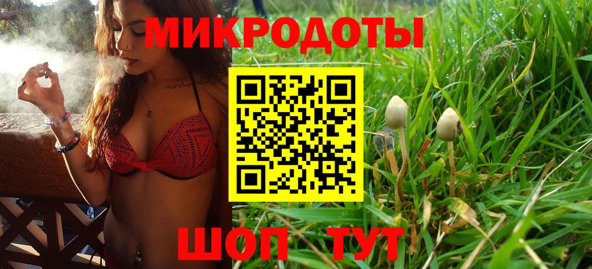 Советская Гавань  Галлюциногенные грибы Cubensis  Вход с VPN 