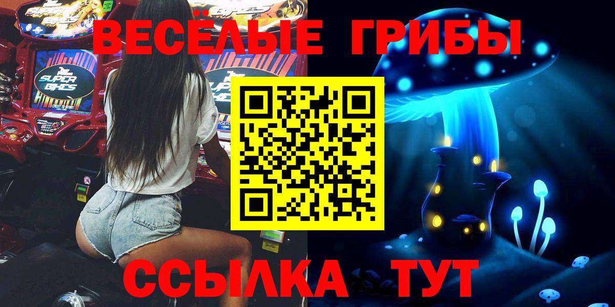 Псилоцибиновые грибы Psilocybe Советская Гавань