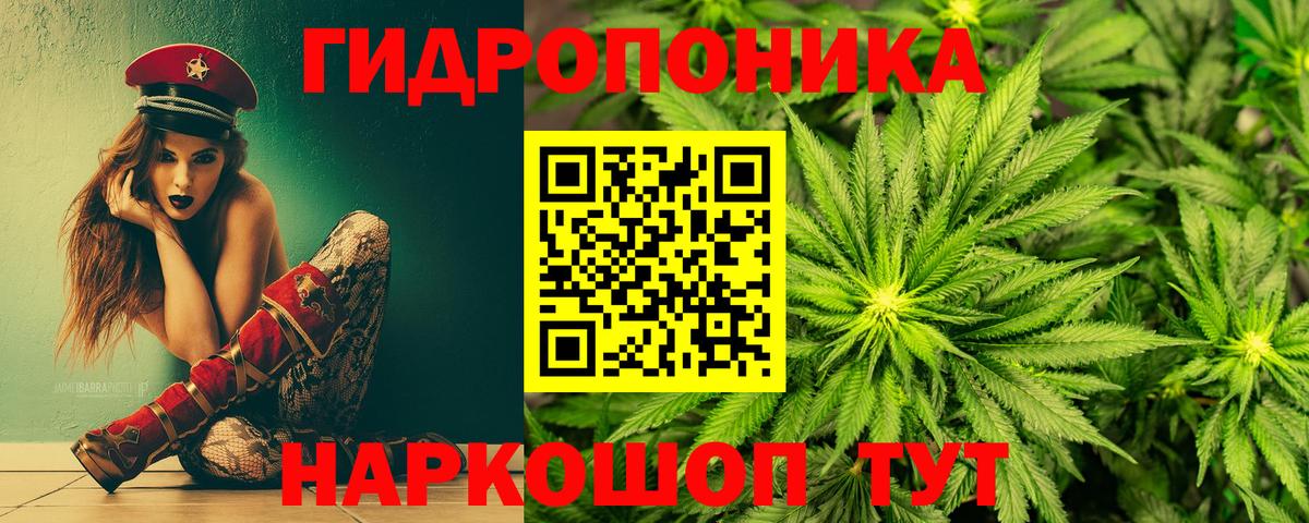 Шишки марихуана семена  Канабис AK-47  Советская Гавань  Канабис AK-47  Вход с VPN 